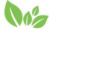 Olways.gr | Consulting, Project Management and development, Origination – Agency